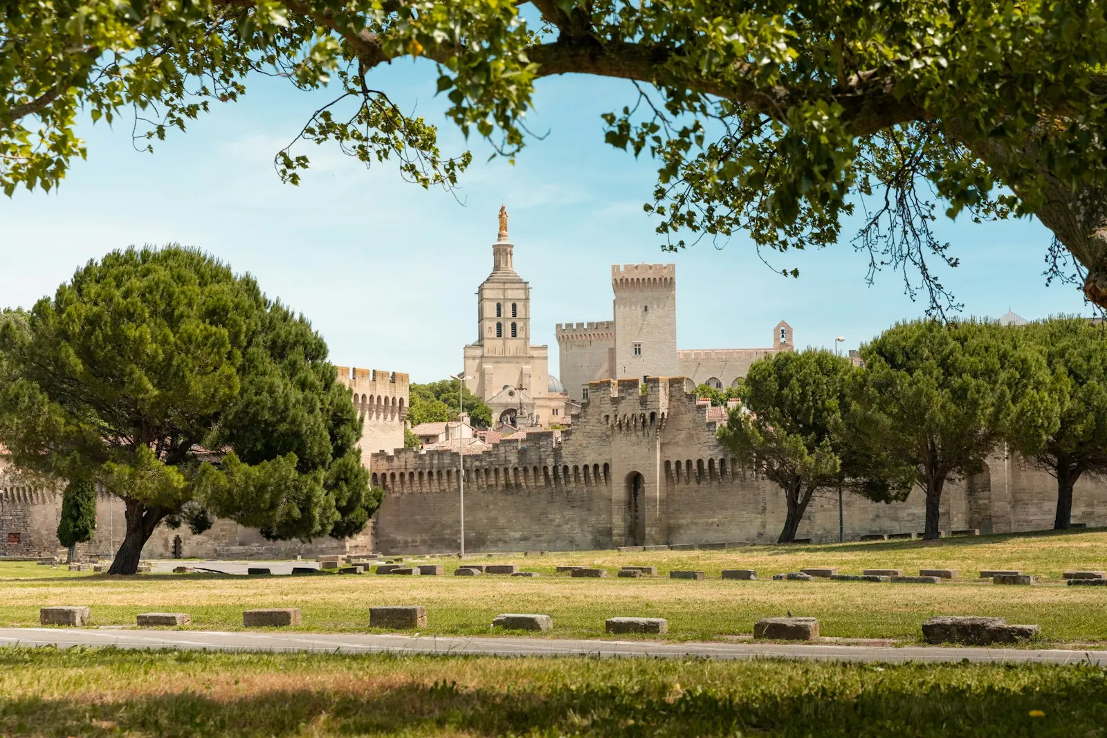 Île de la Barthelasse Avignon